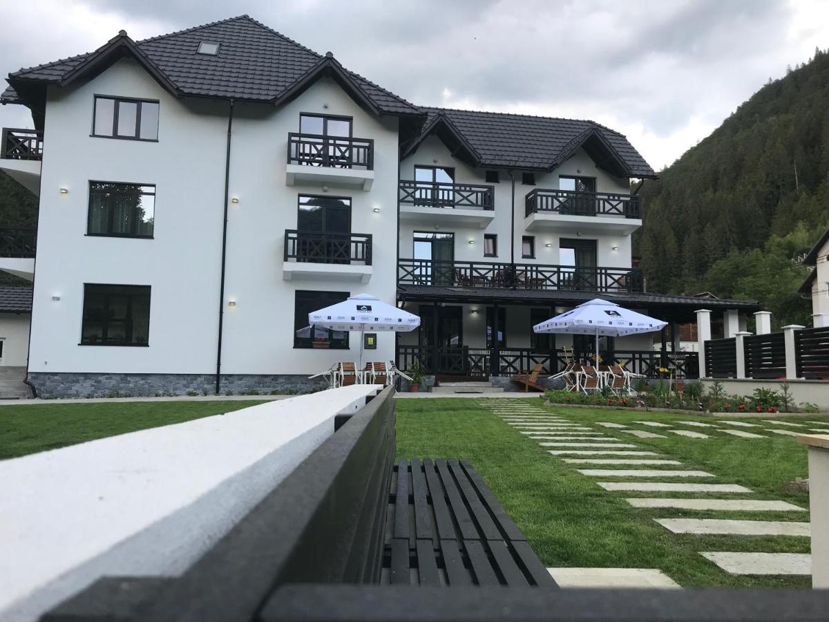 Pensiunea Edelweiss Войняса Экстерьер фото
