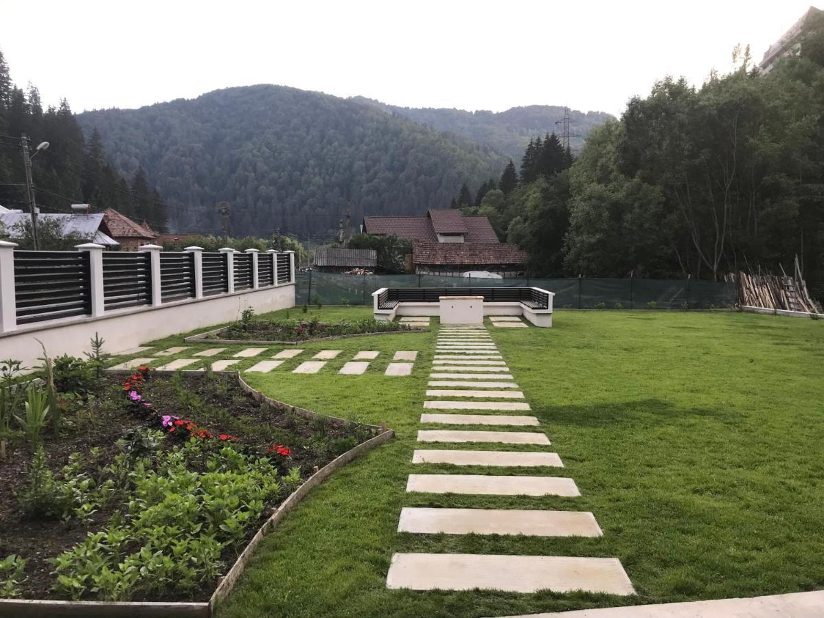 Pensiunea Edelweiss Войняса Экстерьер фото