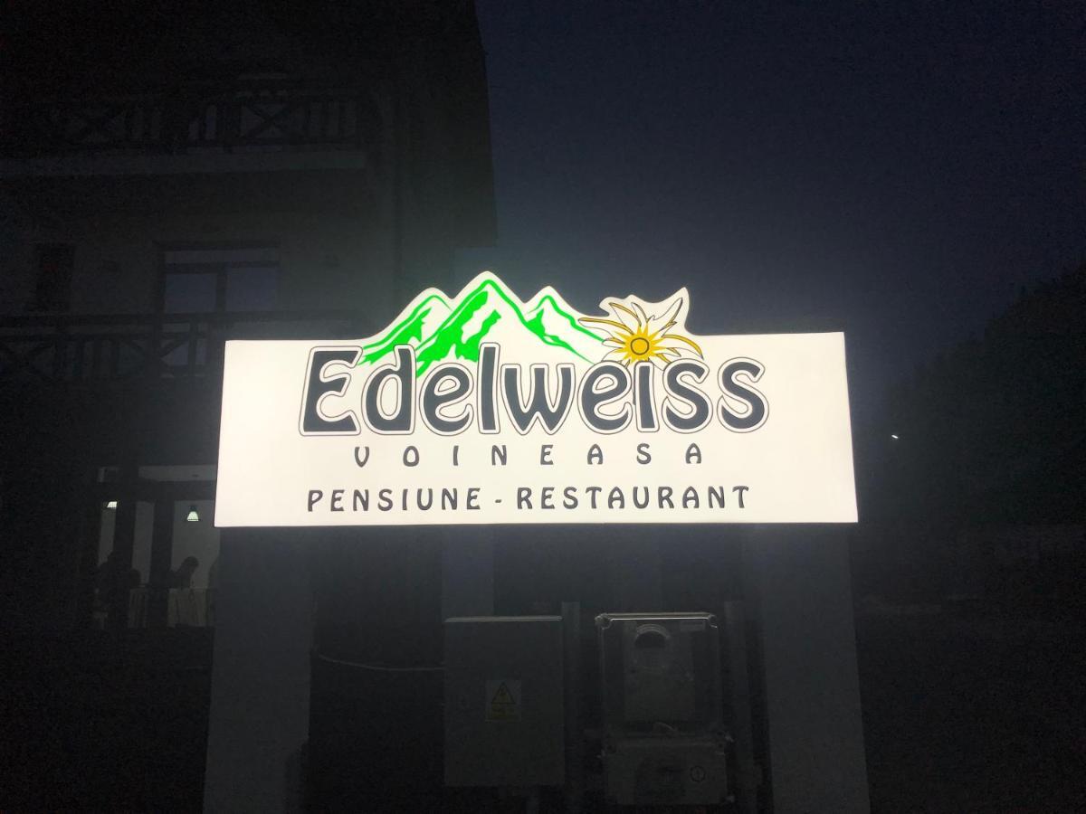 Pensiunea Edelweiss Войняса Экстерьер фото
