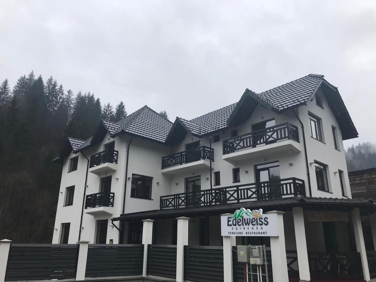 Pensiunea Edelweiss Войняса Экстерьер фото