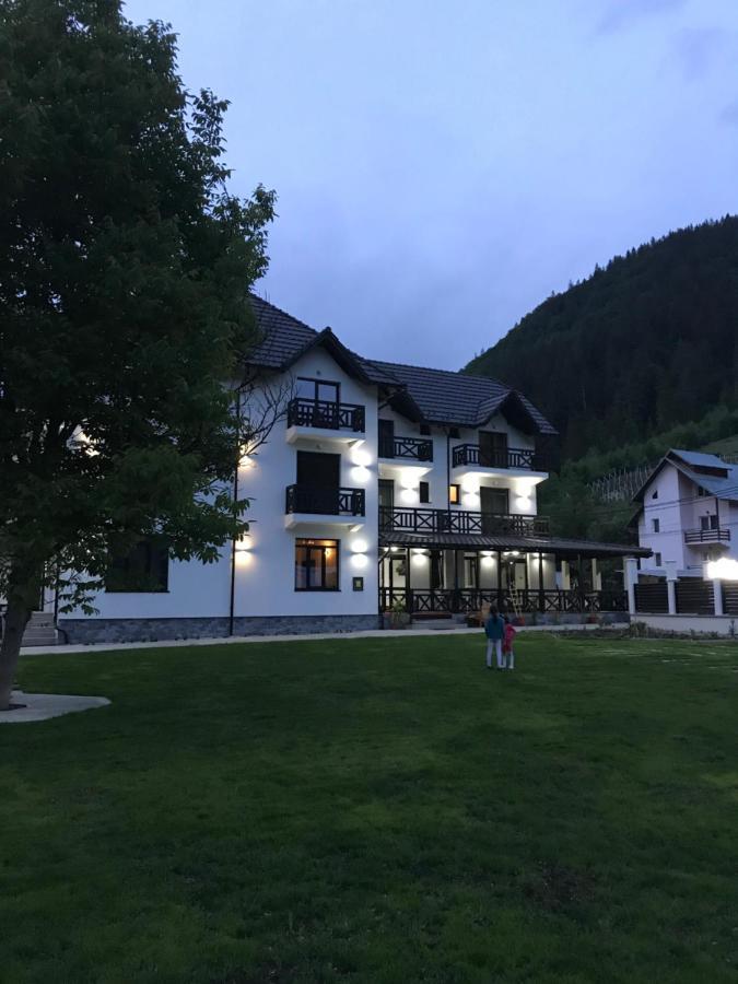 Pensiunea Edelweiss Войняса Экстерьер фото